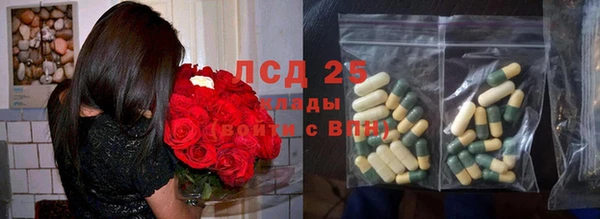 сатива Апатиты