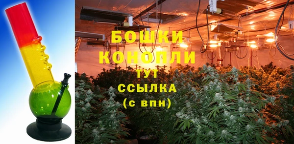 молекула духа Михайлов