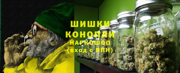 стаф Мегион