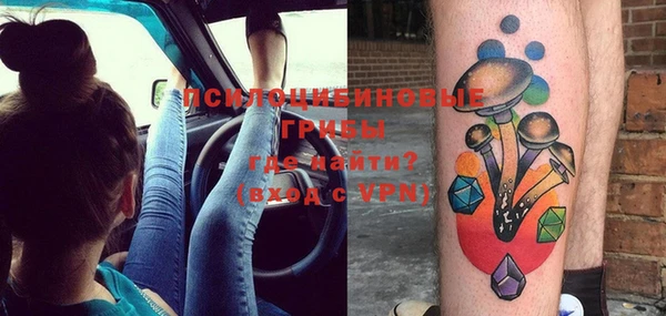 сатива Апатиты